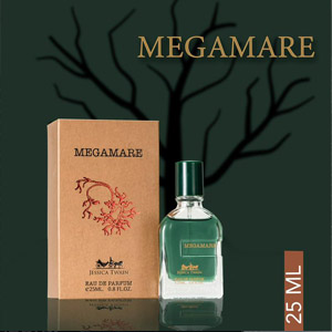 jessica twain megamare