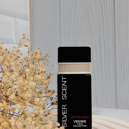 VEKING SILVER SCENT 25ml