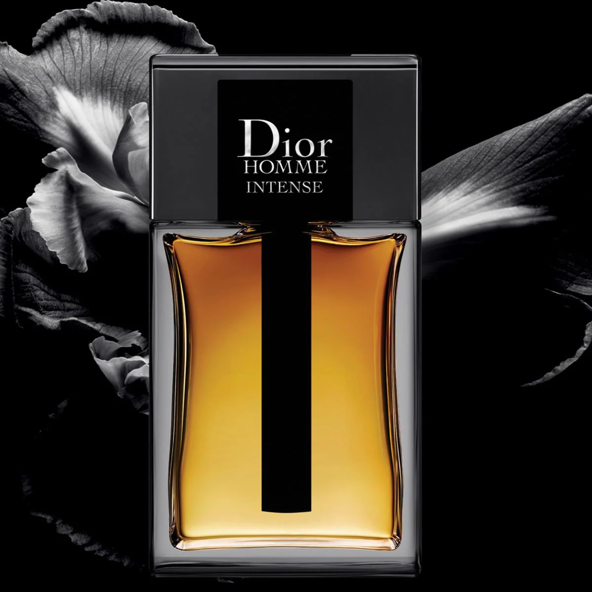 HOMME HOMME INTENSE